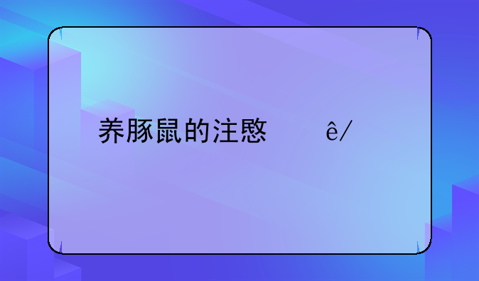 养豚鼠的注意事项