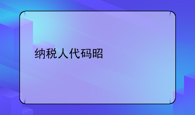 纳税人代码是什么