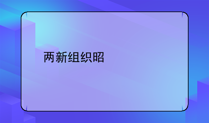 两新组织是什么