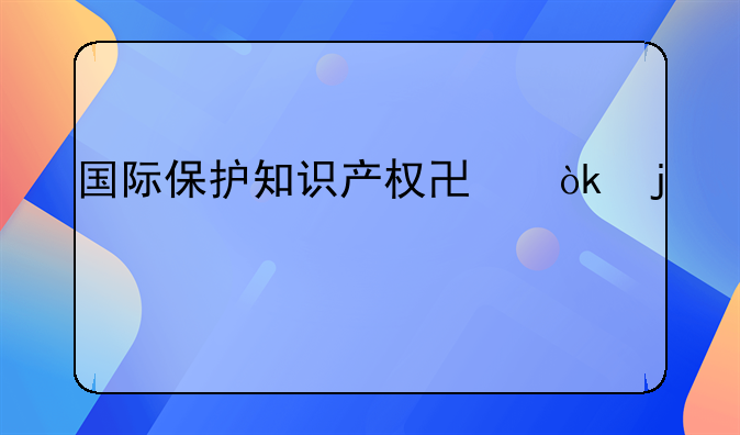 知识产权国际保护部门 知识产权国家保护的范围