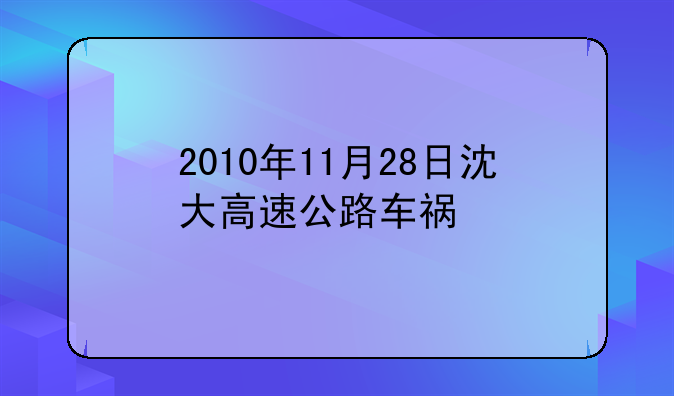 2010年11月28日沈大高速公路车祸