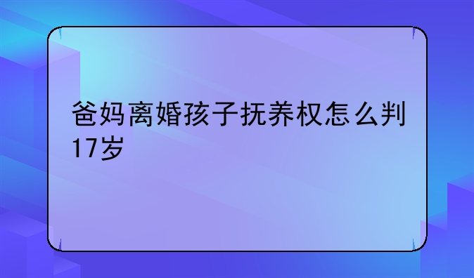 爸妈离婚孩子抚养权怎么判17岁