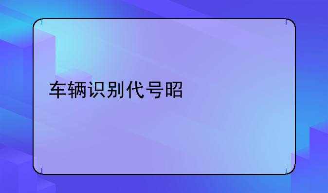 车辆识别代号是什么