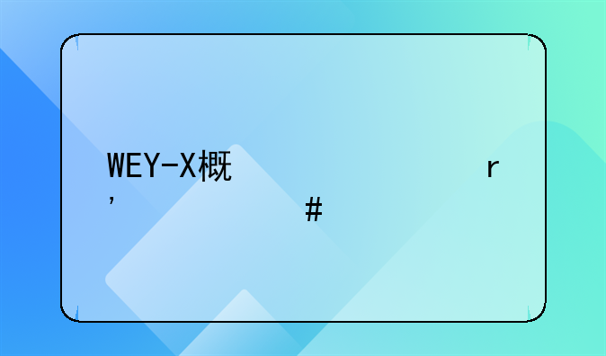 WEY-X概念车有什么特点？