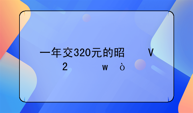 一年交320元的是啥医保？