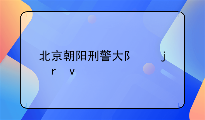 北京朝阳刑警大队的地址