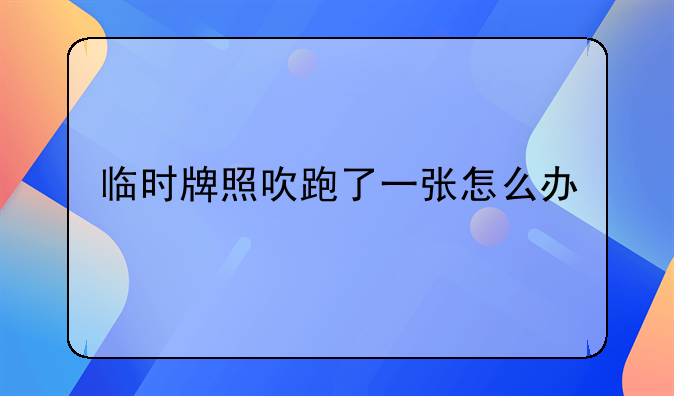 临时牌照吹跑了一张怎么办