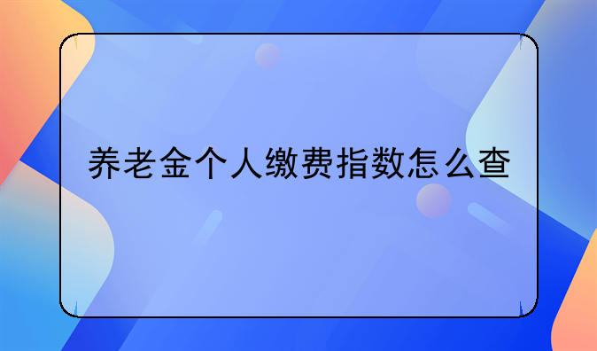 养老金个人缴费指数怎么查