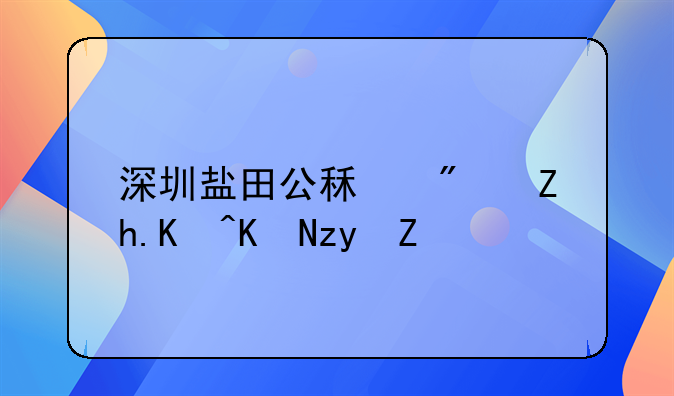 深圳盐田公租房如何交租金