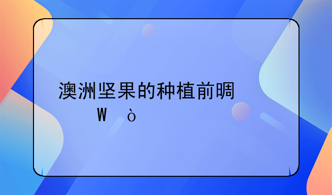 澳洲坚果的种植前景如何？