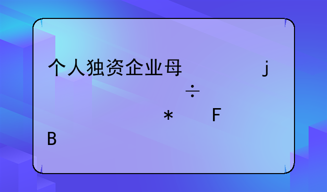 个人独资企业每年的年检都要出审计报告吗