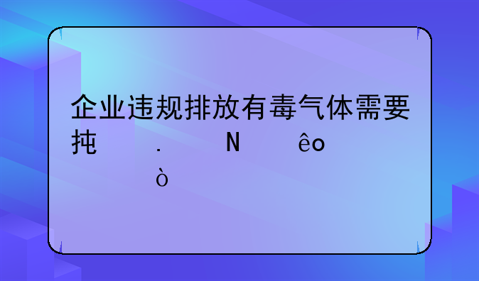 企业违规排放有毒气体需要承担哪些责任？