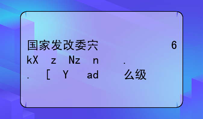 国家发改委宏观经济研究院院长是什么级别