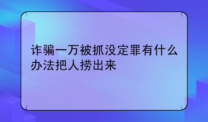 诈骗一万被抓没定罪有什么办法把人捞出来