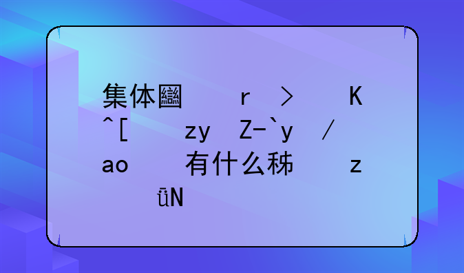 农村集体土地租赁住房项