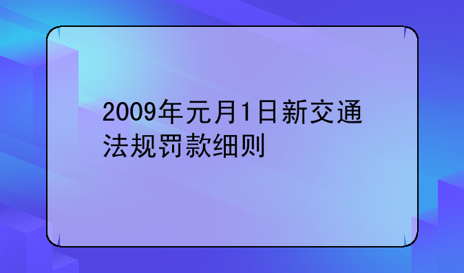 交通违法代码2009