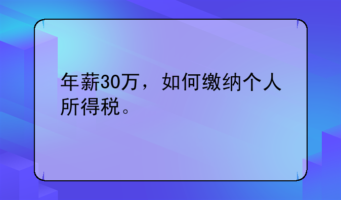 年薪30万，如何缴纳个人所得税。