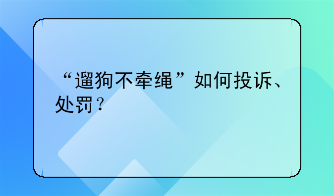 “遛狗不牵绳”如何投诉、处罚？