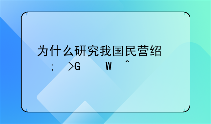 为什么研究我国民营经济发展问题