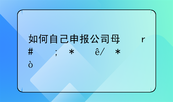 如何自己申报公司每月税务事务？