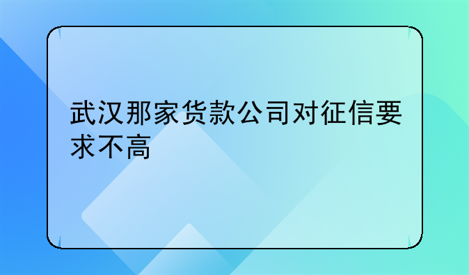 武汉那家货款公司对征信要求不高