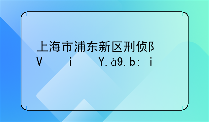 上海市浦东新区刑侦队长是什么警衔