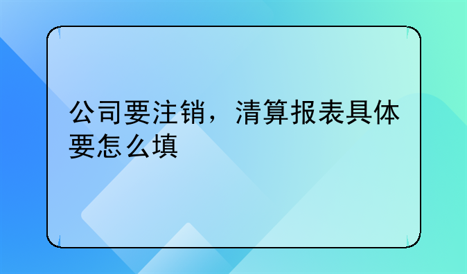 公司要注销，清算报表具体要怎么填