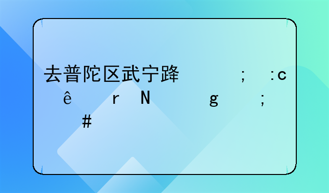 去普陀区武宁路从莘庄地铁站怎么走