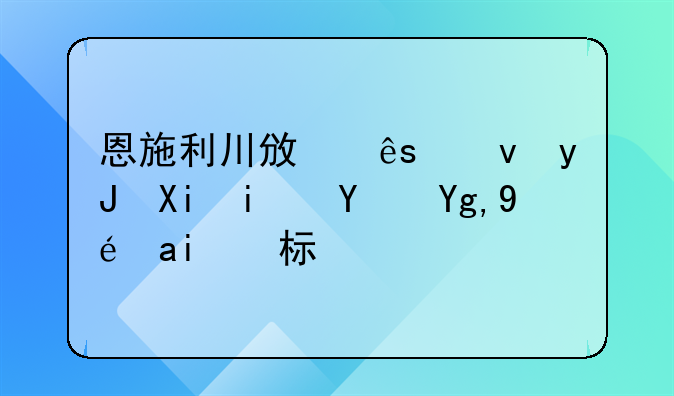 恩施利川政府租用农村土地租金标准