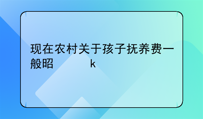 孩子抚养费一般都是一年