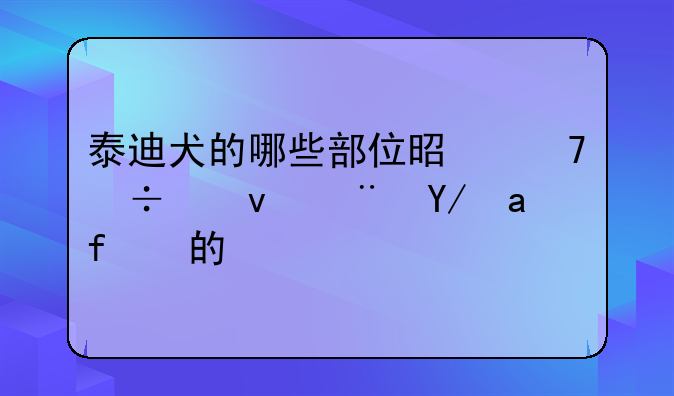 泰迪犬的哪些部位是不能够随便打的？