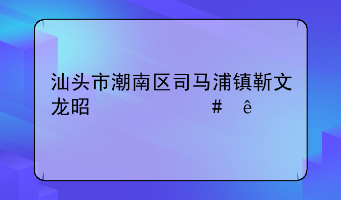 汕头市潮南区司马浦镇靳文龙是什么人