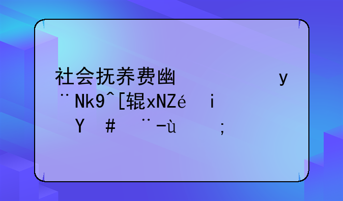 社会抚养费广西的法律规定是怎样的？