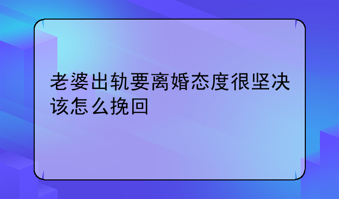 老婆出轨要离婚态度很坚决该怎么挽回