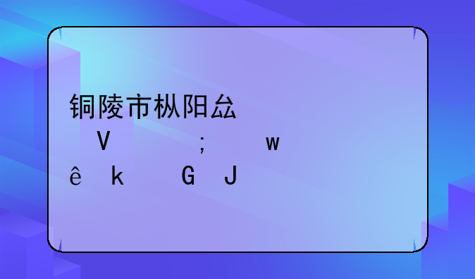 铜陵市枞阳县老洲镇低保一个人多少钱