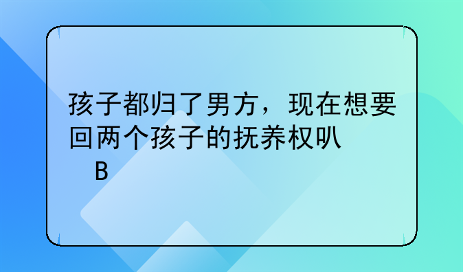 孩子都归了男方，现在想要回两个孩子的抚养权可以吗