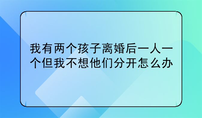 我有两个孩子离婚后一人一个但我不想他们分开怎么办