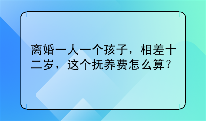 离婚一人一个孩子，相差十二岁，这个抚养费怎么算？