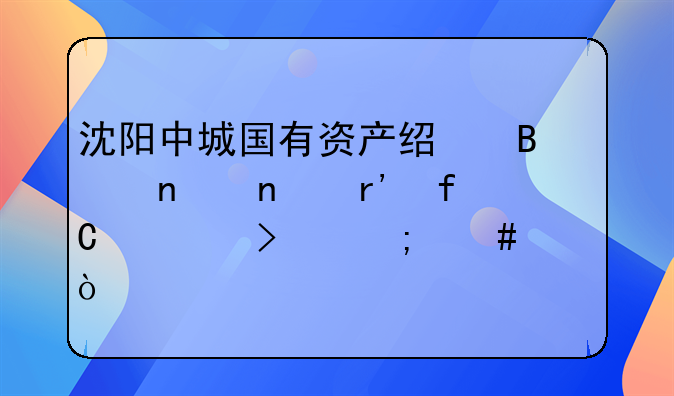 沈阳中城国有资产经营集团有限公司怎么样？