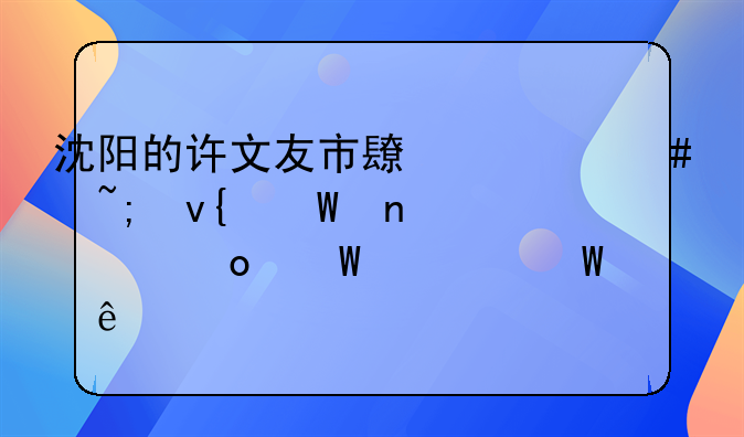 沈阳的许文友市长为沈城非法集资进展如何了