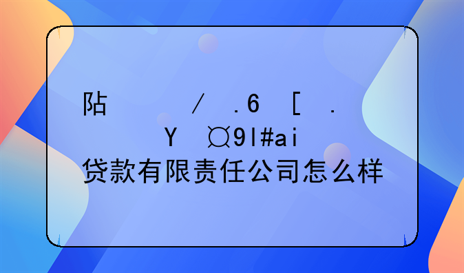 阿克苏市鸿源小额贷款有限责任公司怎么样？