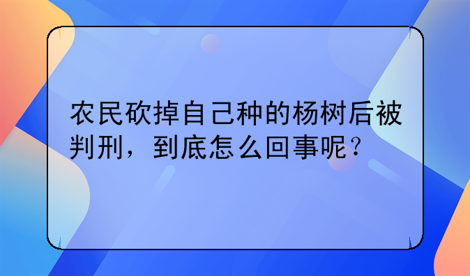 农民砍掉自己种的杨树后被判刑，到底怎么回事呢？