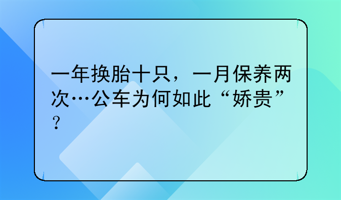 一年换胎十只，一月保养两次…公车为何如此“娇贵”？