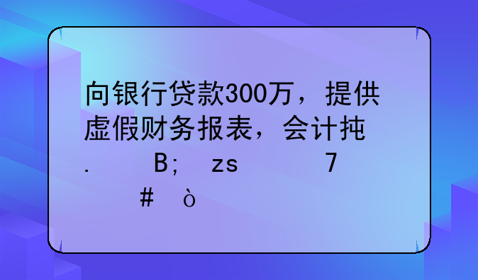 向银行贷款300万，提供虚假财务报表，会计承担后果严重么？