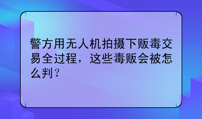 警方用无人机拍摄下贩毒交易全过程，这些毒贩会被怎么判？