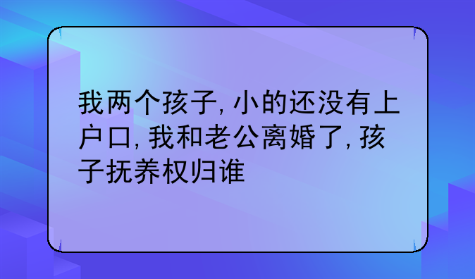 我两个孩子,小的还没有上户口,我和老公离婚了,孩子抚养权归谁