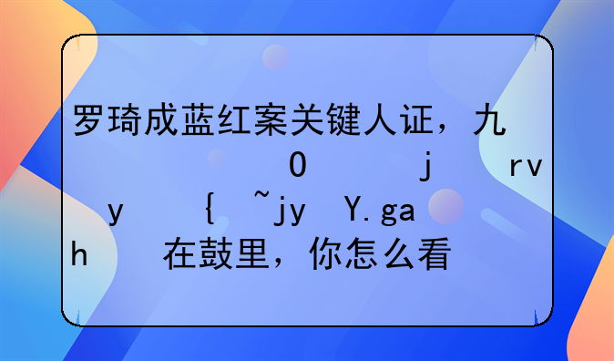 罗琦成蓝红案关键人证，也许当年的真相罗槟也蒙在鼓里，你怎么看？