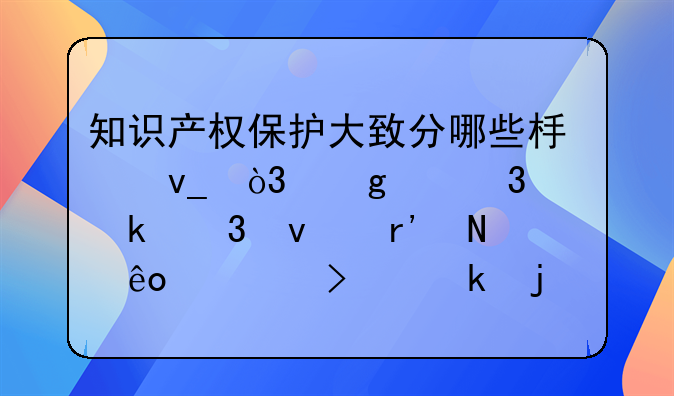 知识产权保护大致分哪些板块，这个行业里面有哪些公司做的比较突出？