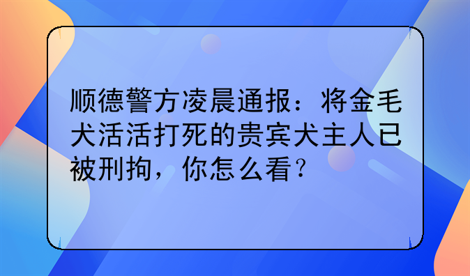 顺德警方凌晨通报：将金毛犬活活打死的贵宾犬主人已被刑拘，你怎么看？