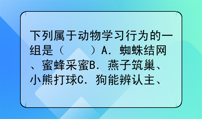 黑猩猩打架属于什么行为